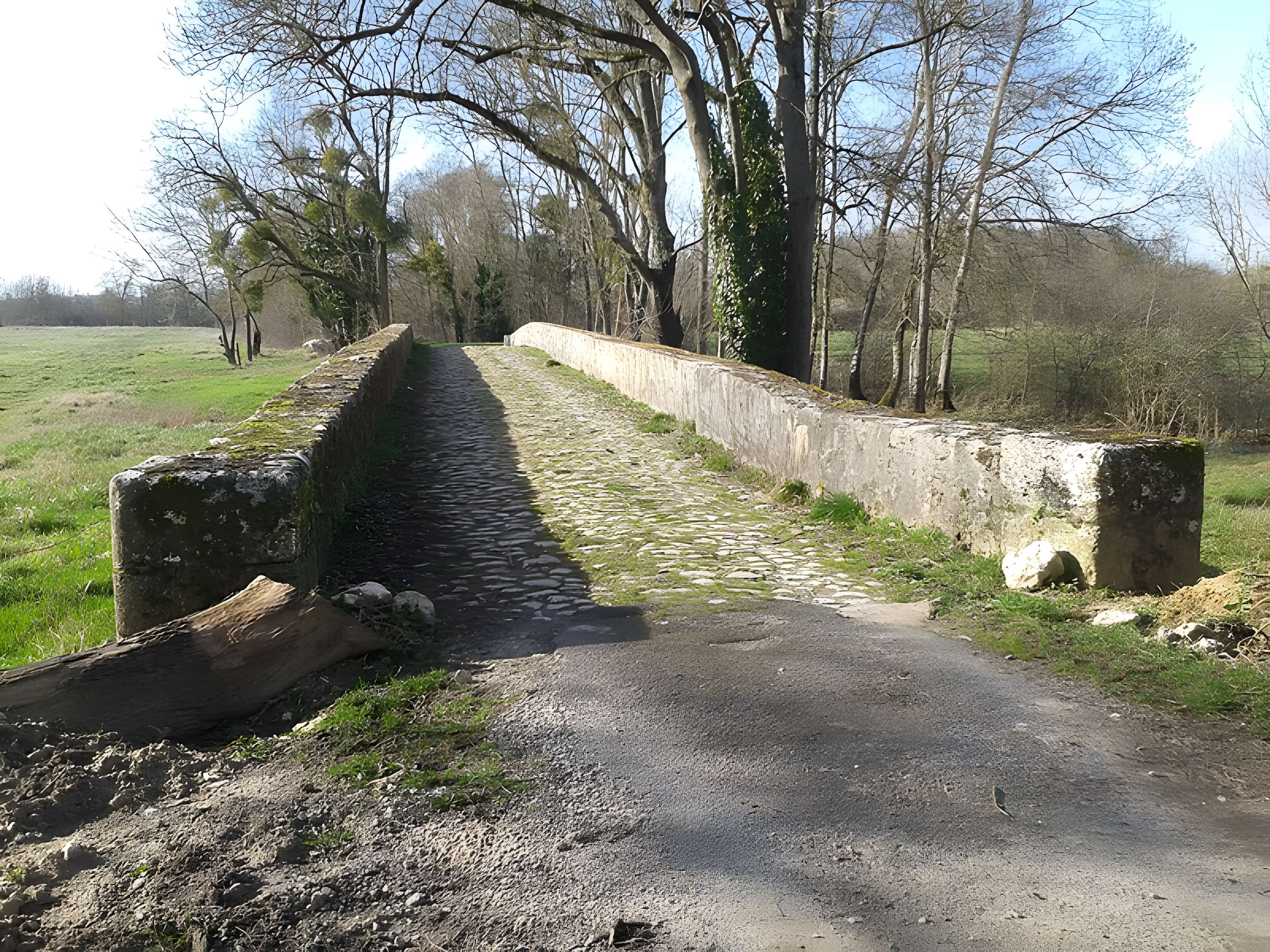 Pont Saint-Michel et ponts sur le Cosson dits chastrés ou chartrains