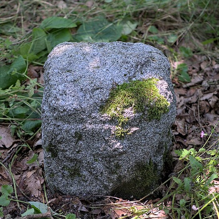 Photo de Borne frontière des justices de Cleppé et de Poncins également sur commune de Poncins