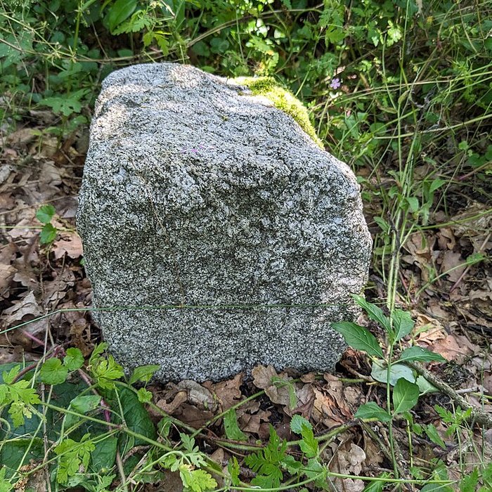 Photo de Borne frontière des justices de Cleppé et de Poncins également sur commune de Poncins