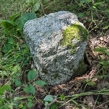 Borne frontière des justices de Cleppé et de Poncins également sur commune de Poncins