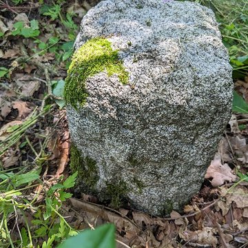 Borne frontière des justices de Cleppé et de Poncins également sur commune de Poncins