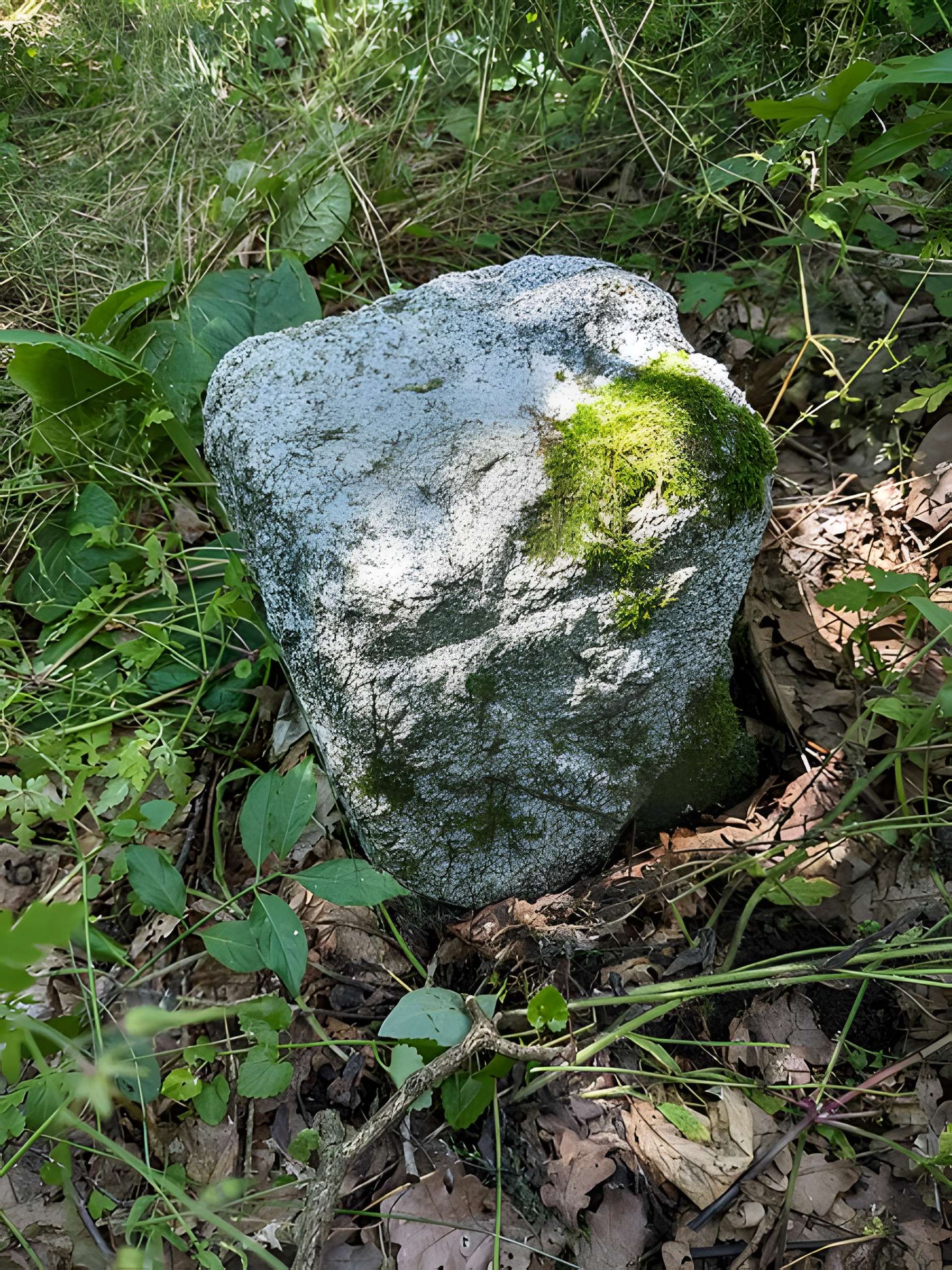 Borne frontière des justices de Cleppé et de Poncins (également sur commune de Poncins)