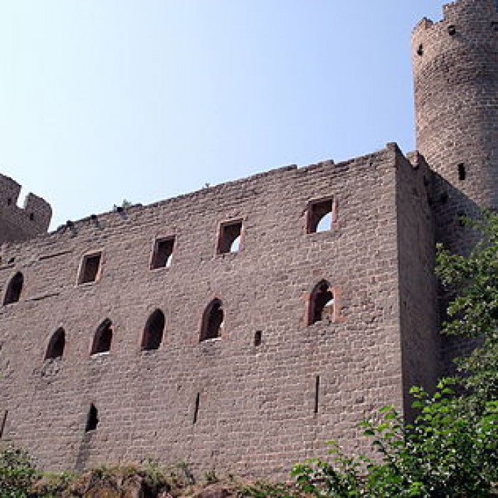 Photo de Ruines du château Haut-Andlau