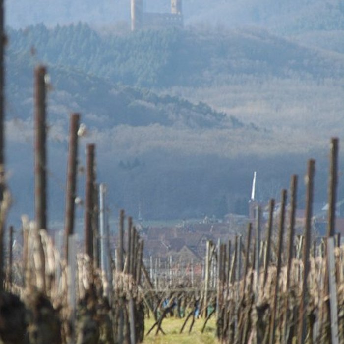 Photo de Ruines du château Haut-Andlau