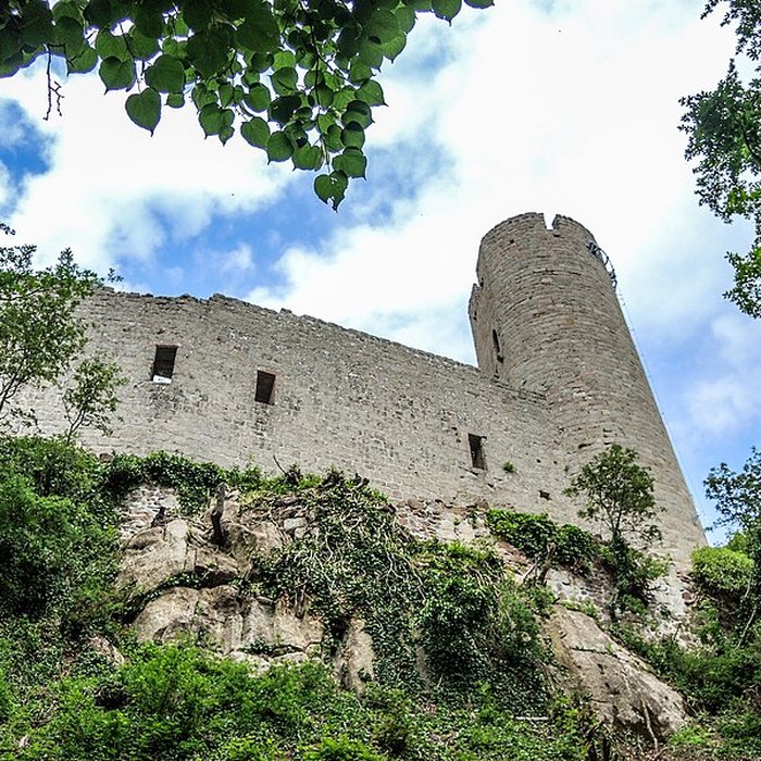 Photo de Ruines du château Haut-Andlau