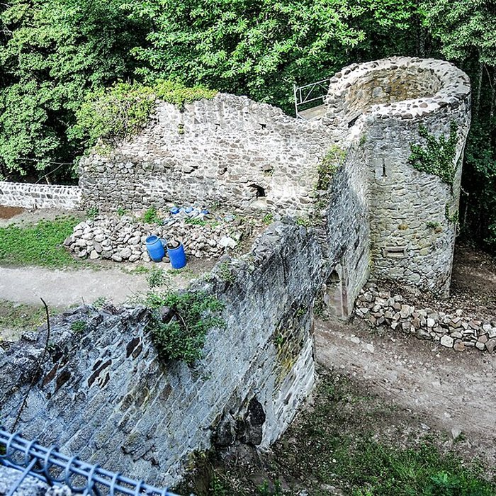 Photo de Ruines du château Haut-Andlau