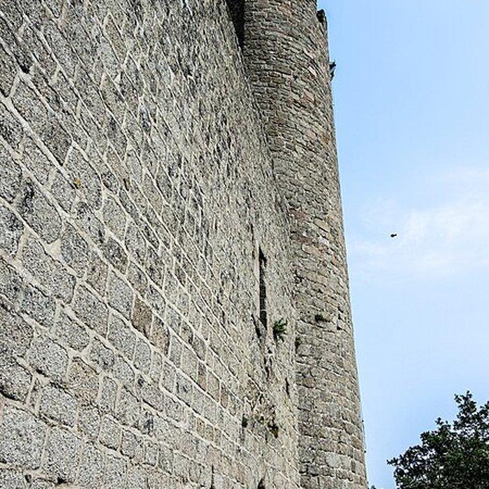 Photo de Ruines du château Haut-Andlau