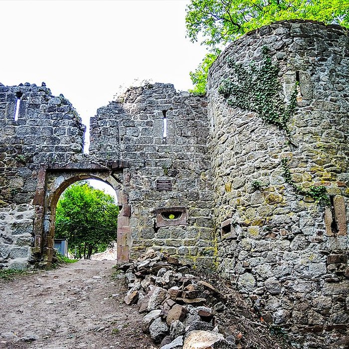 Photo de Ruines du château Haut-Andlau