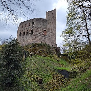 Ruines du château Haut-Andlau