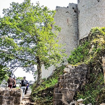 Ruines du château Haut-Andlau