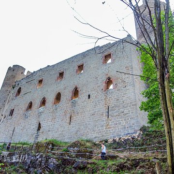 Ruines du château Haut-Andlau