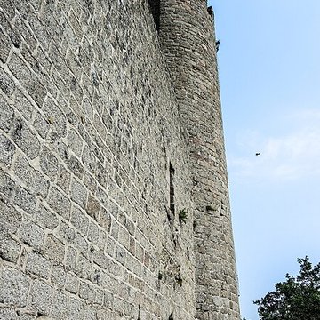 Ruines du château Haut-Andlau