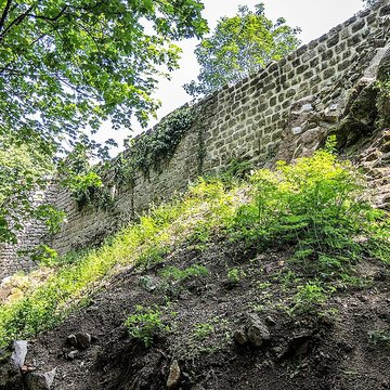 Ruines du château Haut-Andlau