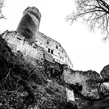 Ruines du château Haut-Andlau