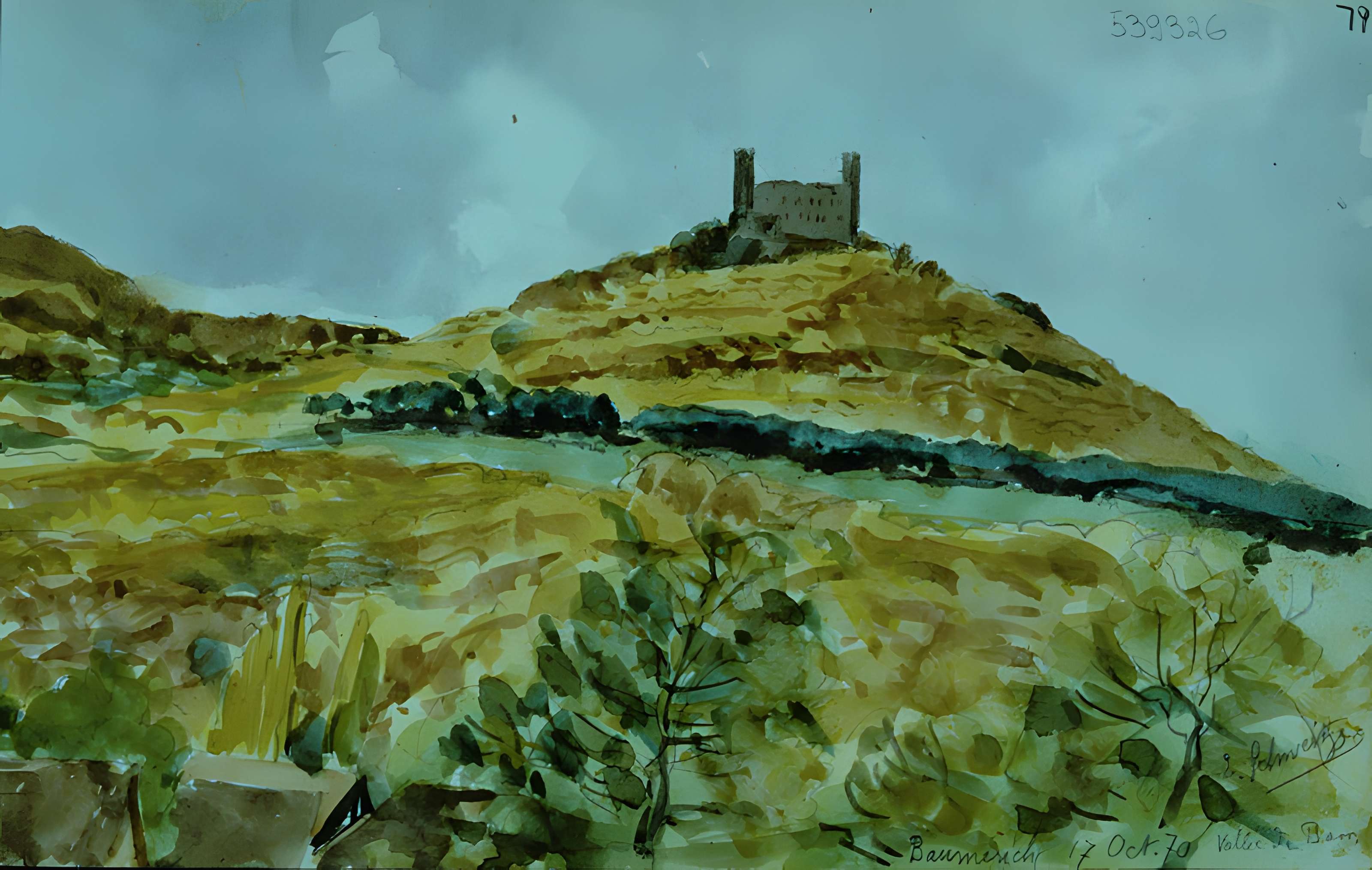 Ruines du château Haut-Andlau