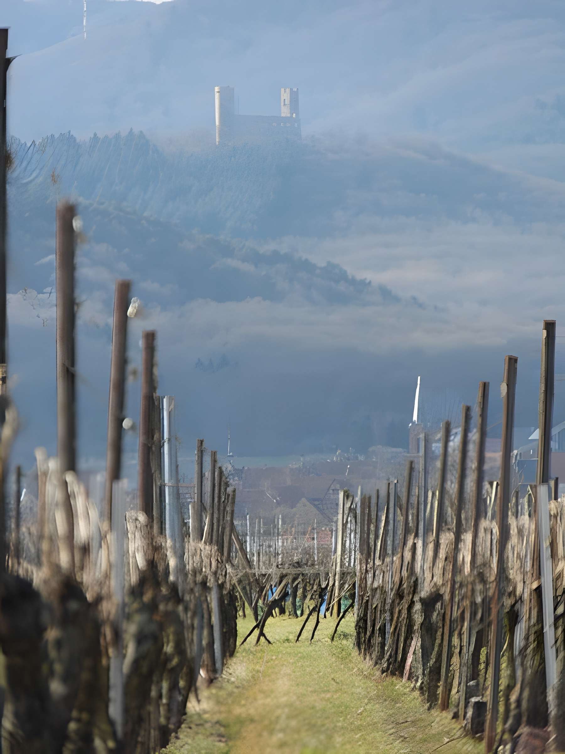 Ruines du château Haut-Andlau
