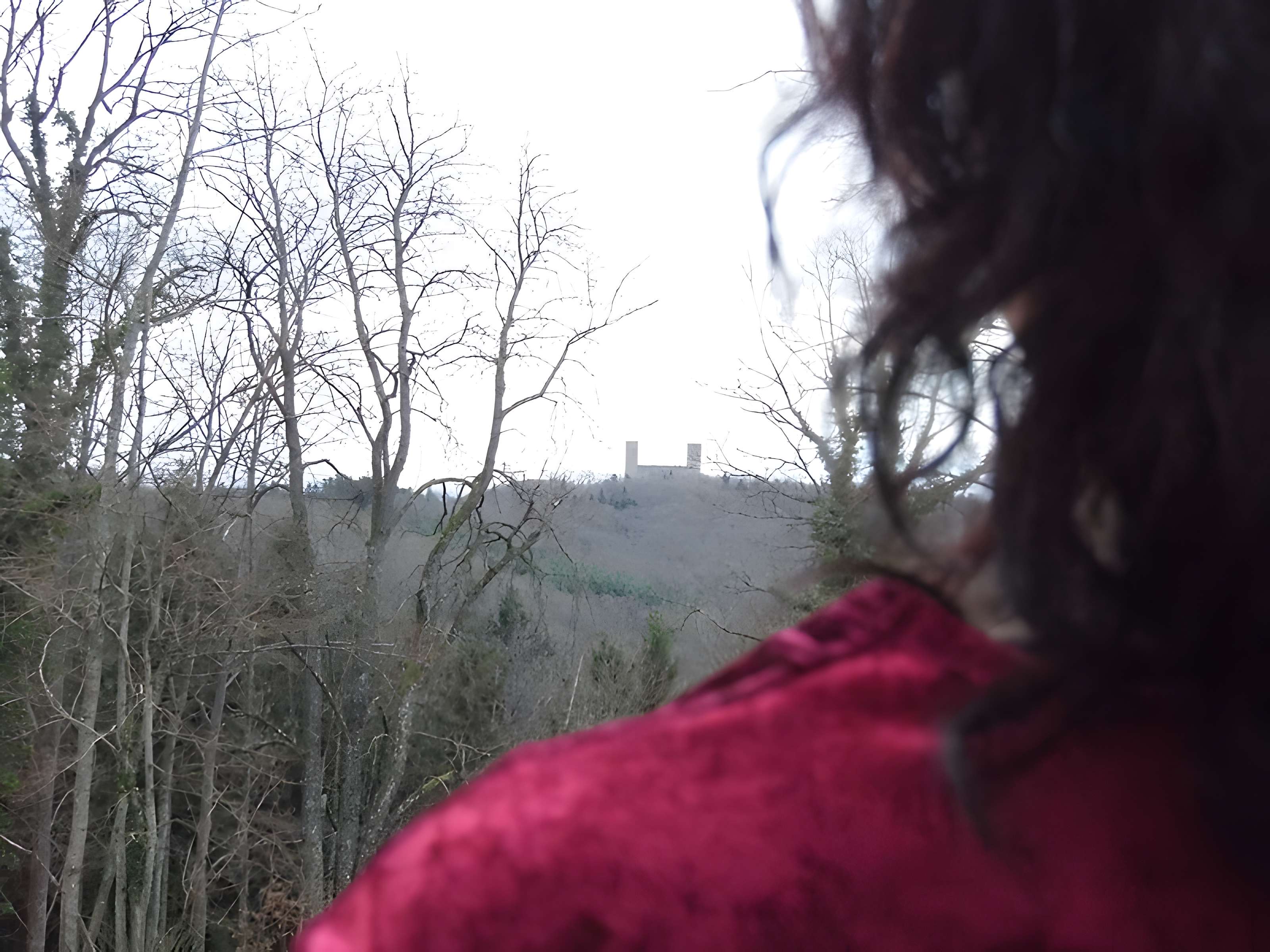 Ruines du château Haut-Andlau