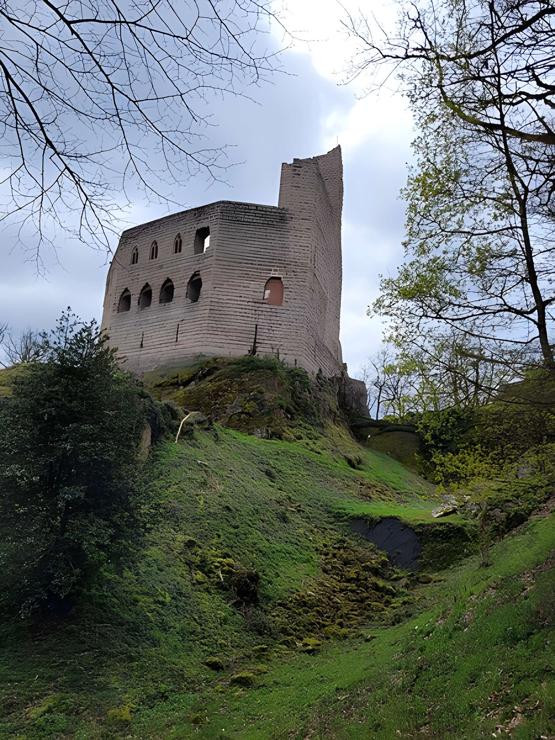 Ruines du château Haut-Andlau
