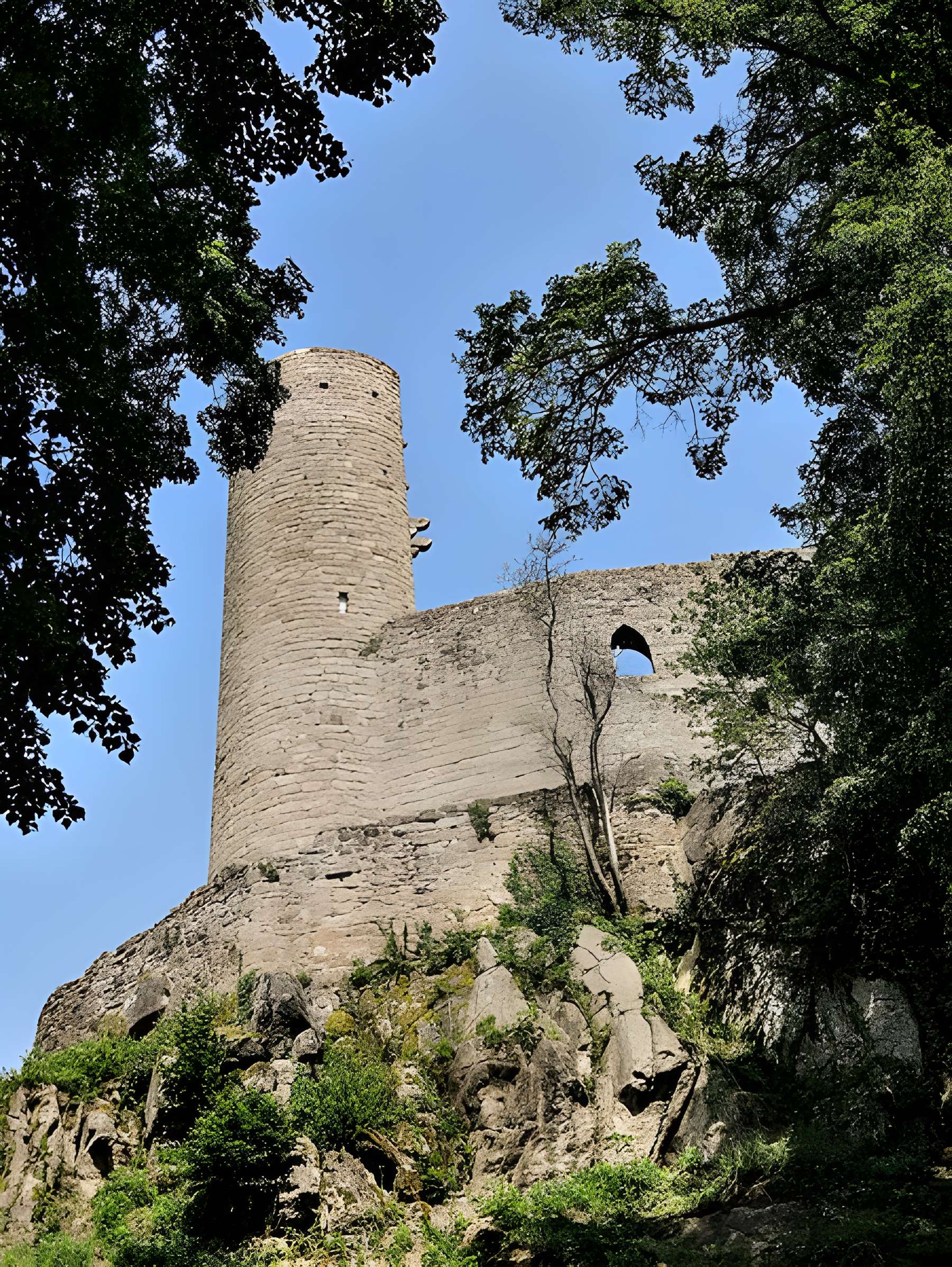Ruines du château Haut-Andlau