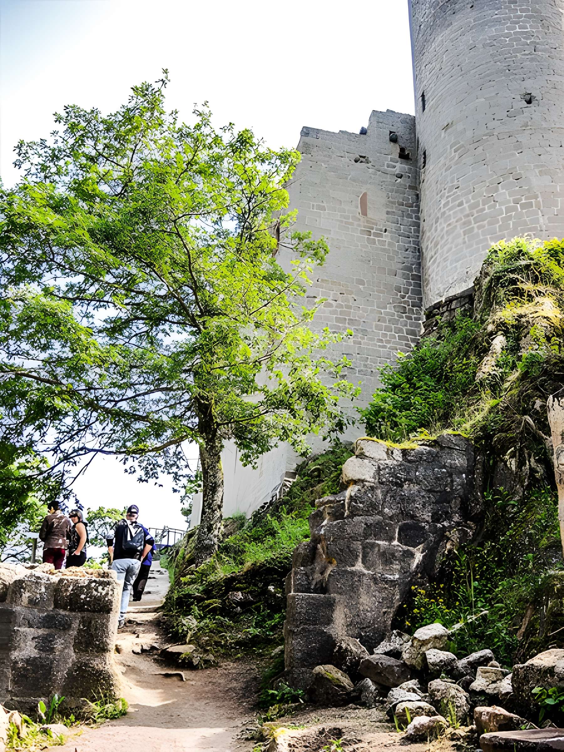 Ruines du château Haut-Andlau