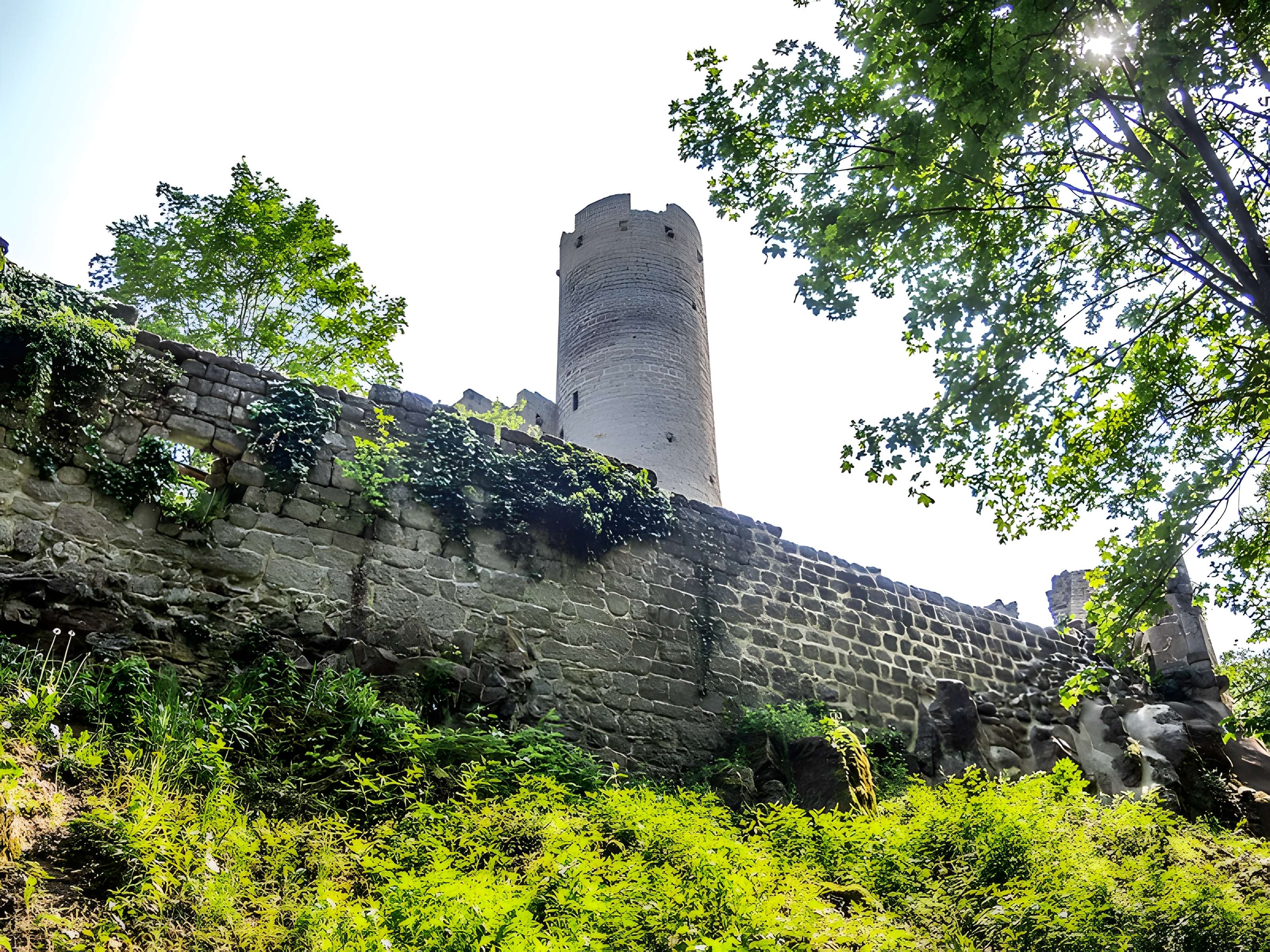 Ruines du château Haut-Andlau