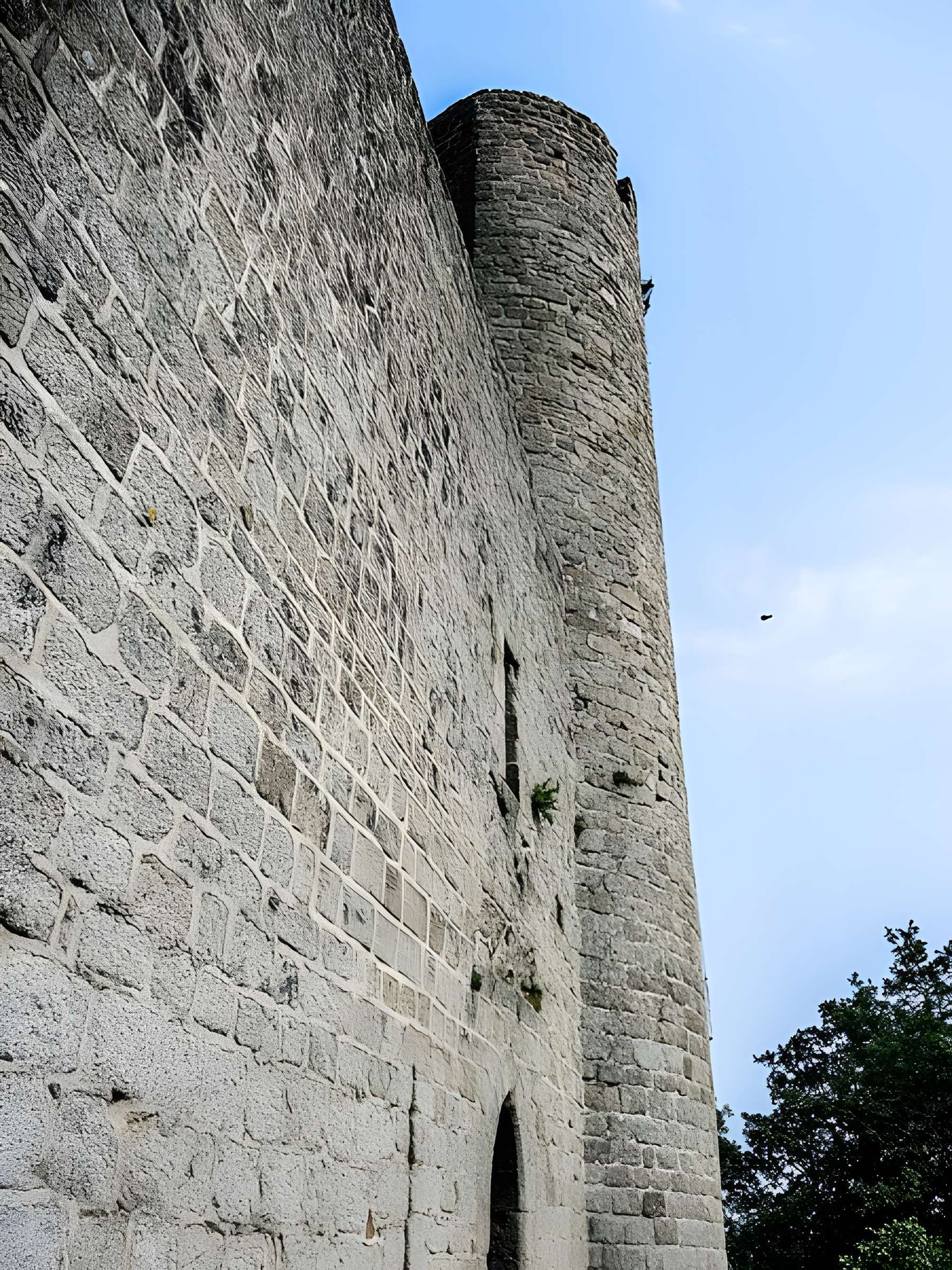 Ruines du château Haut-Andlau