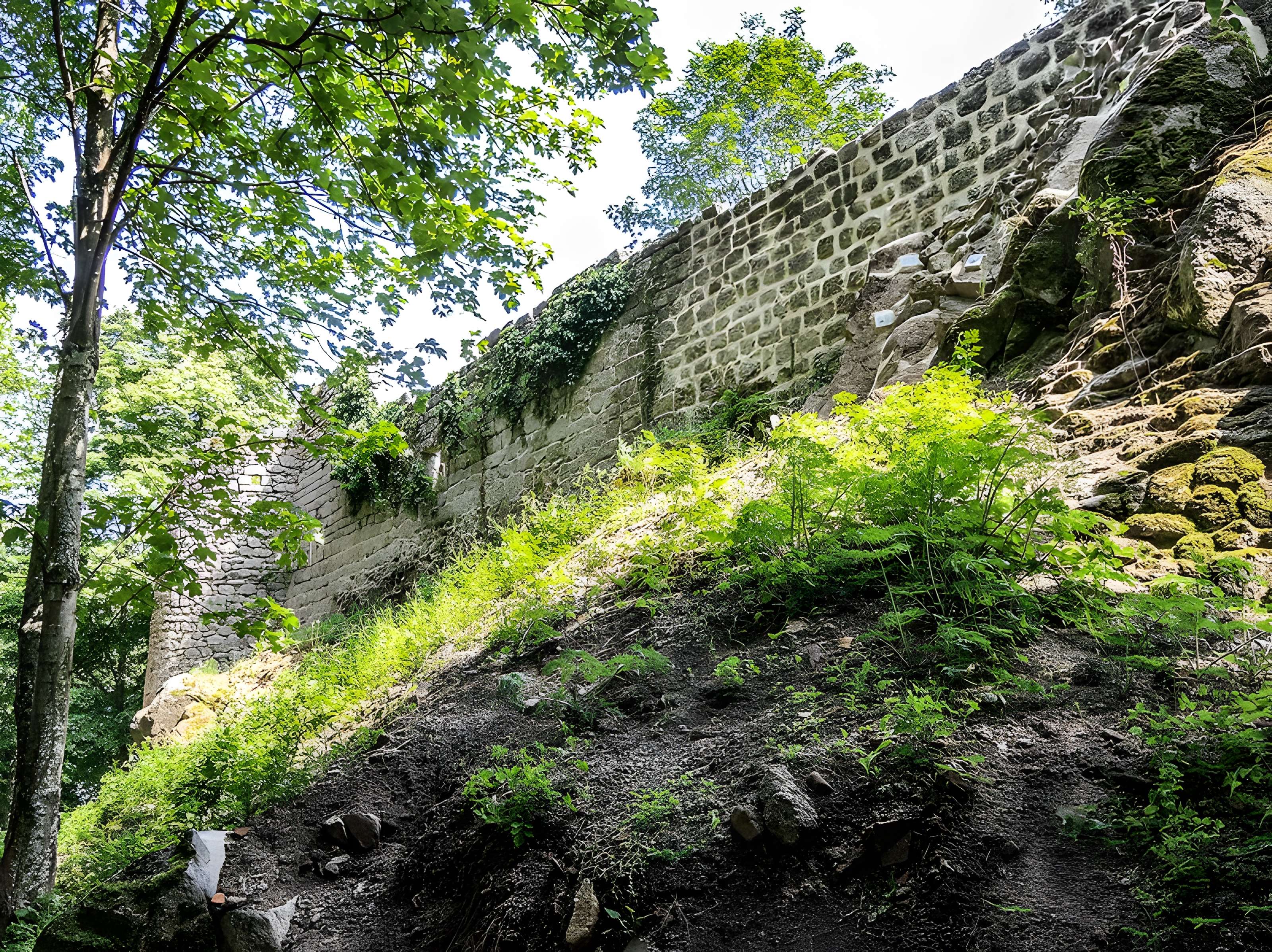 Ruines du château Haut-Andlau