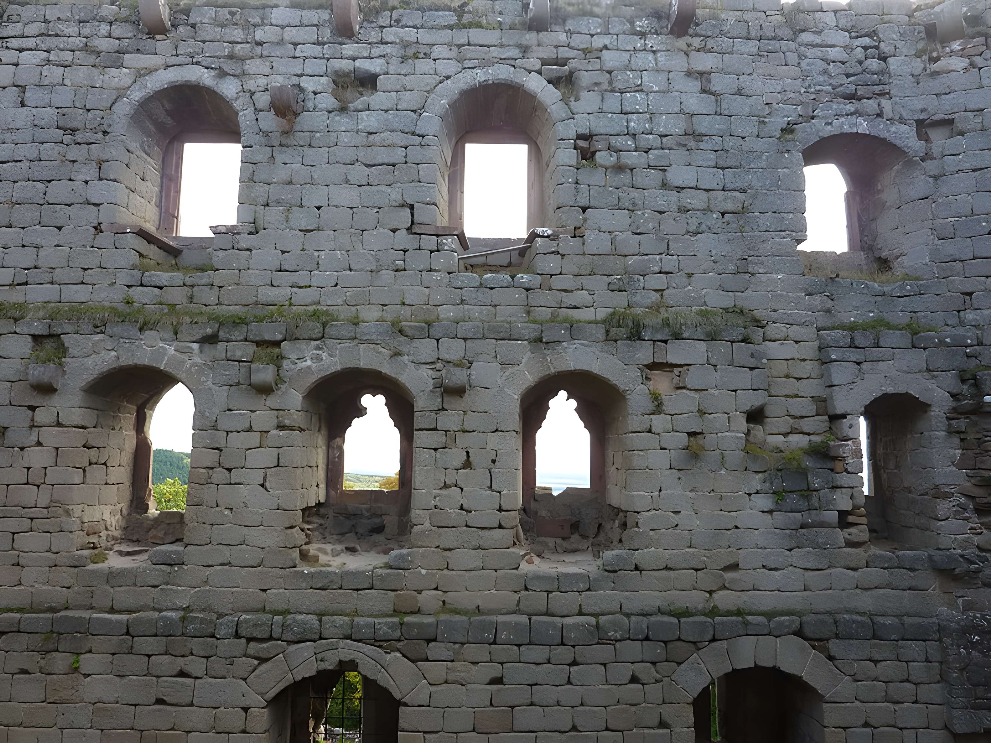 Ruines du château Haut-Andlau