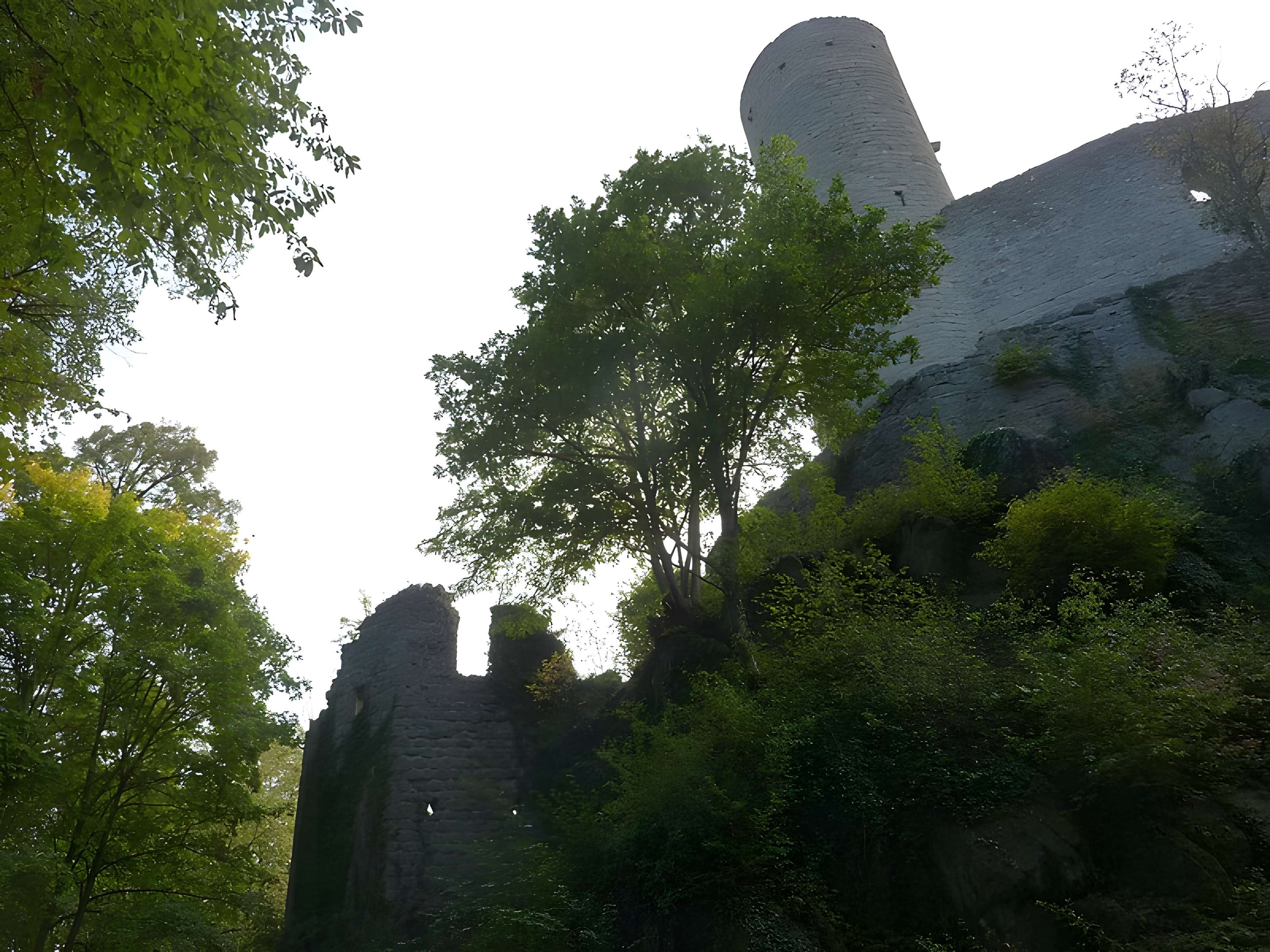 Ruines du château Haut-Andlau