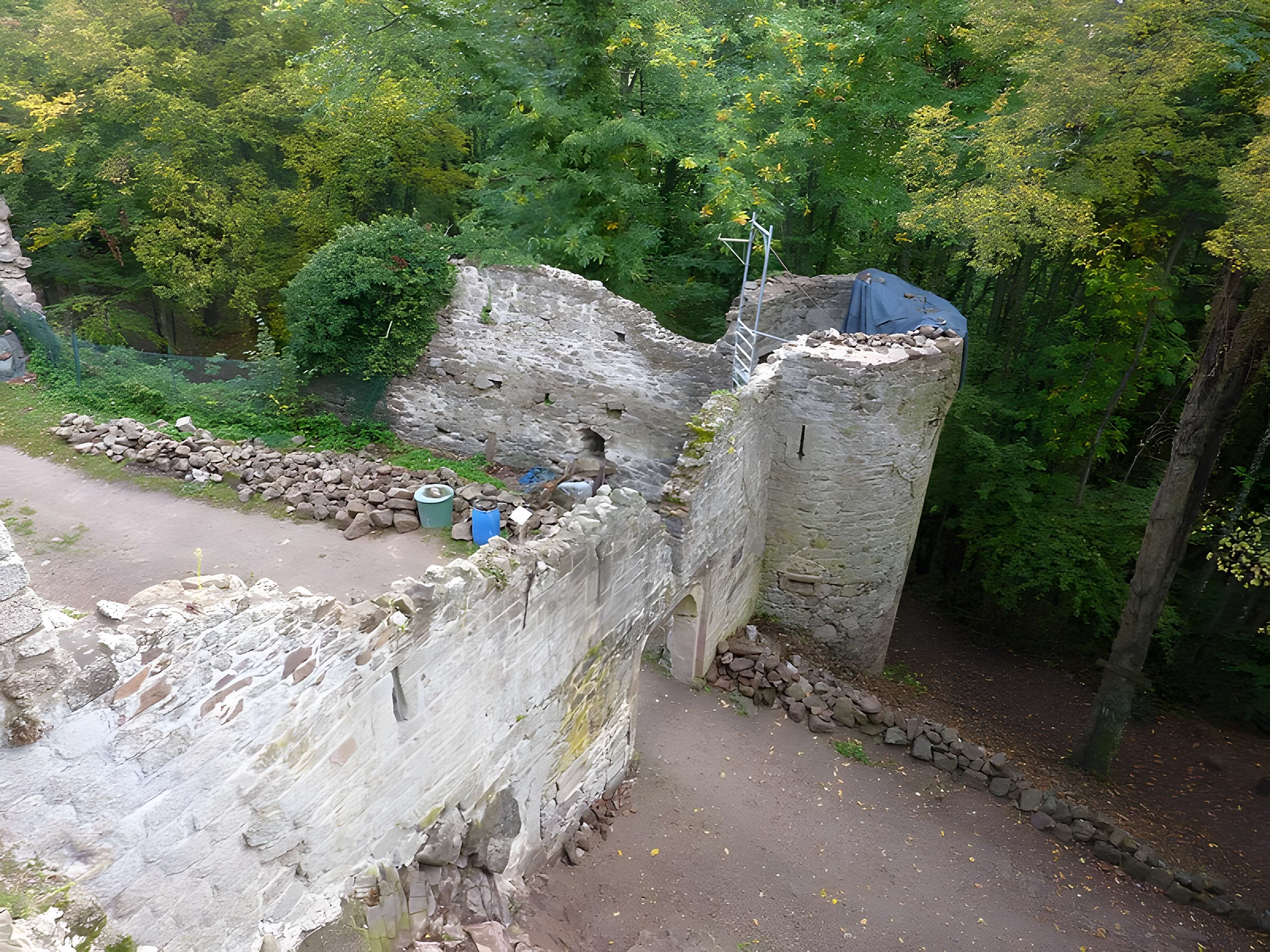 Ruines du château Haut-Andlau