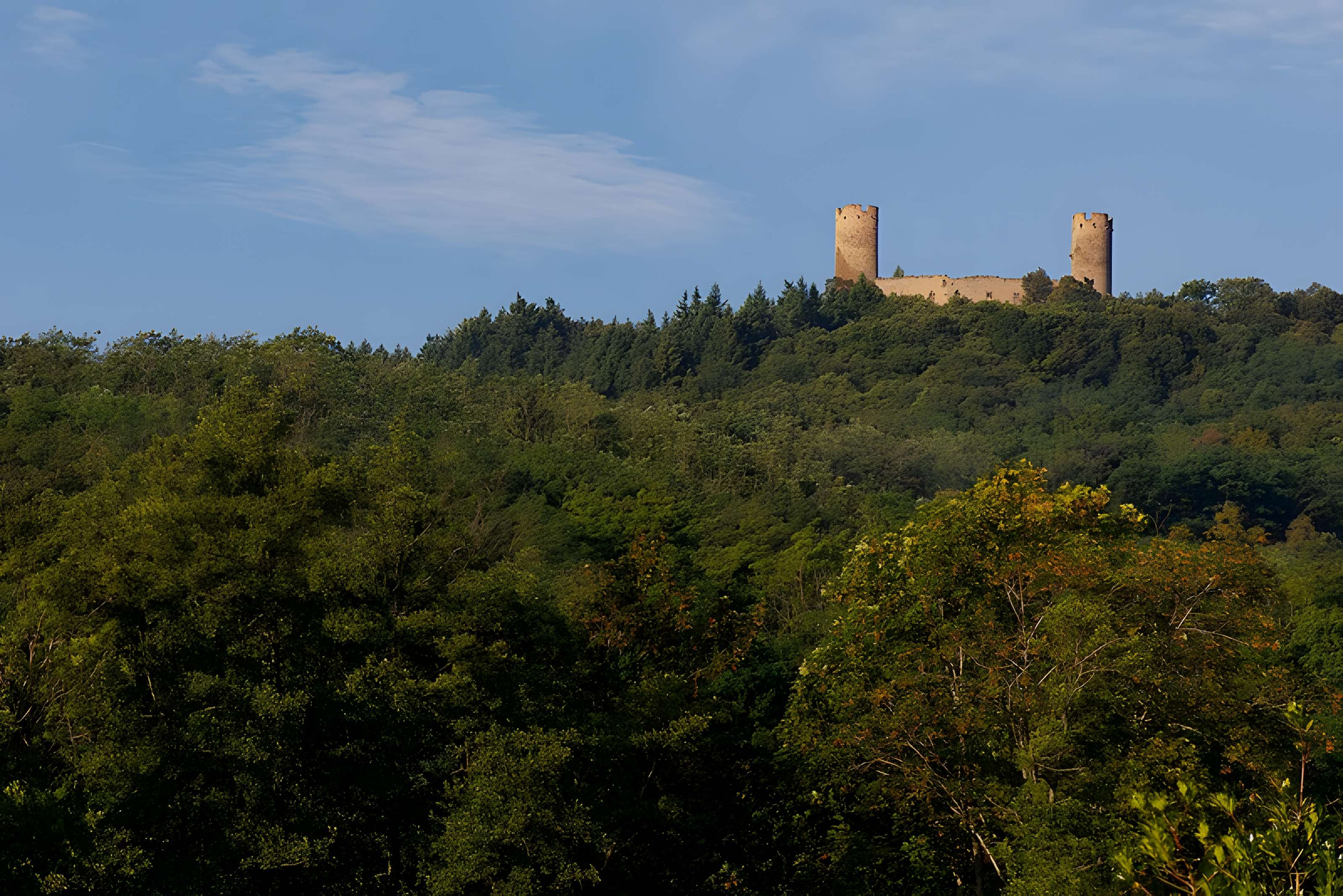 Ruines du château Haut-Andlau