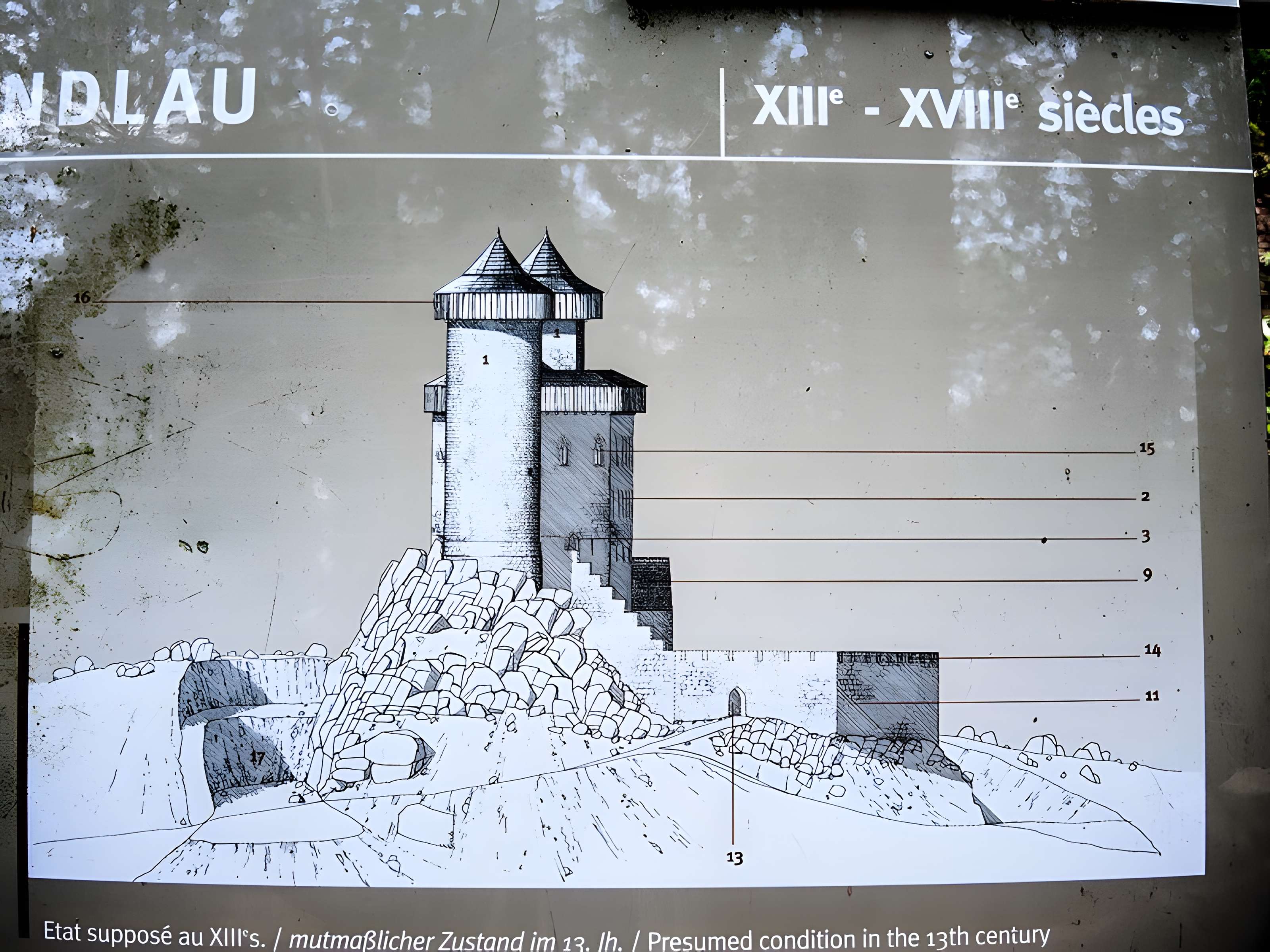 Ruines du château Haut-Andlau