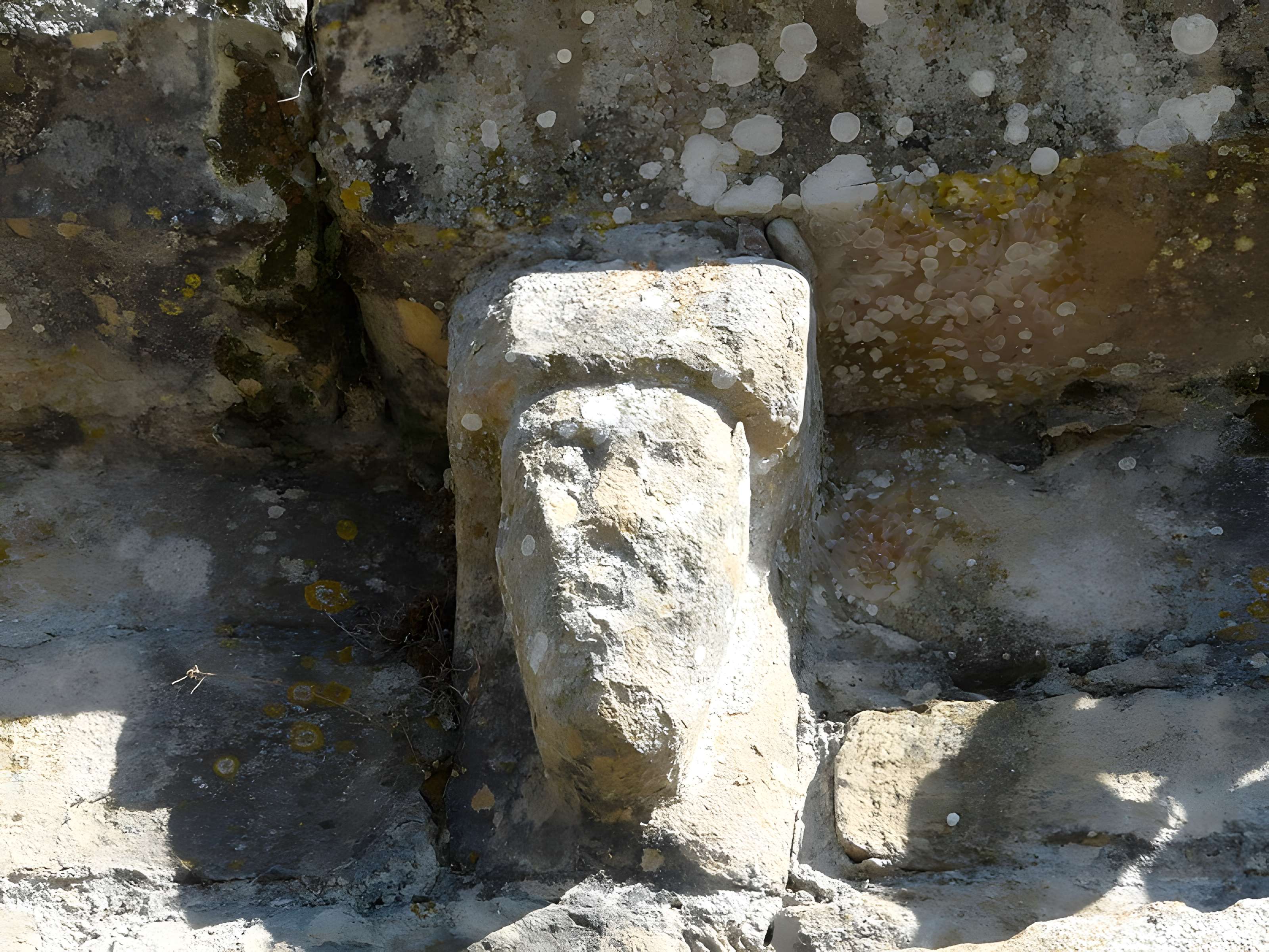 Église Saint-Hilaire de Trémolat