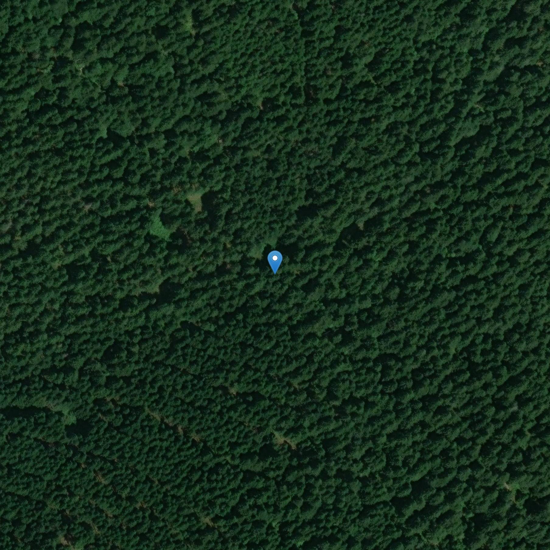 Photo de 四点正义