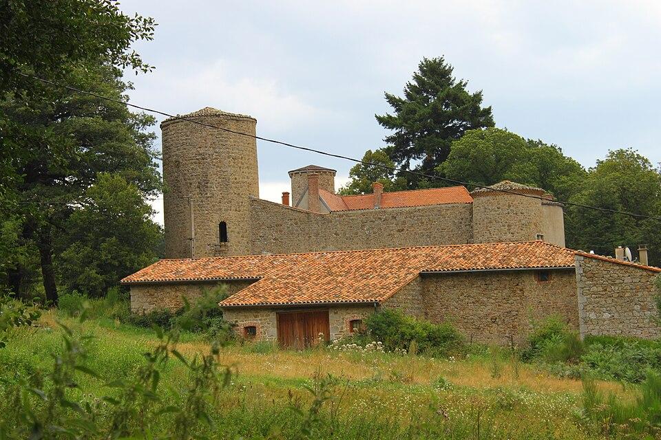 Photo de Château de la Merlée