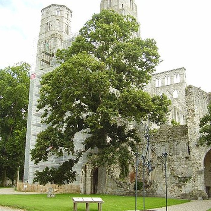 Photo de Abbaye de Jumièges