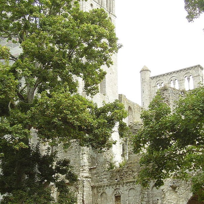 Photo de Abbaye de Jumièges