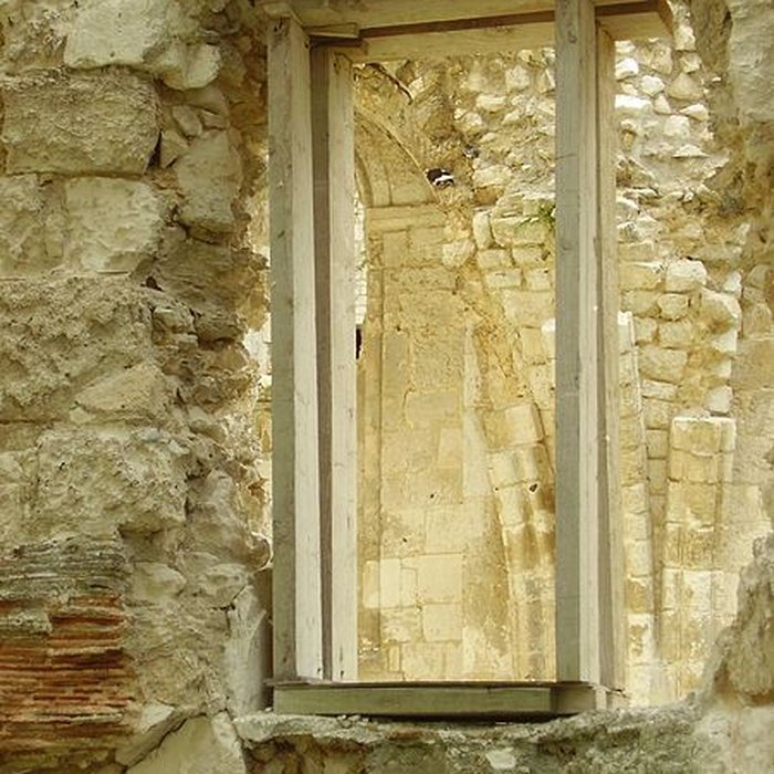 Photo de Abbaye de Jumièges