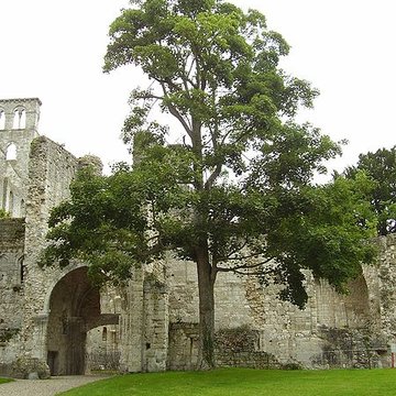 Abbaye de Jumièges