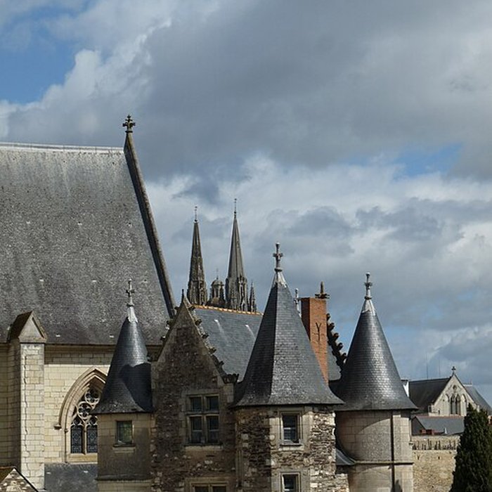 Photo de Château dAngers