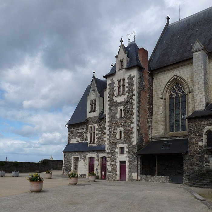 Photo de Château dAngers