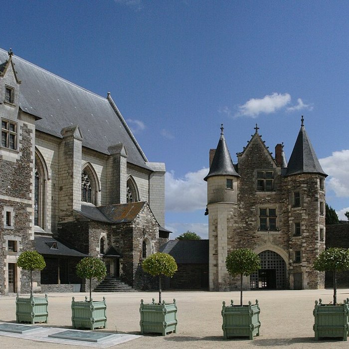 Photo de Château dAngers