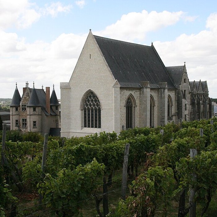Photo de Château dAngers