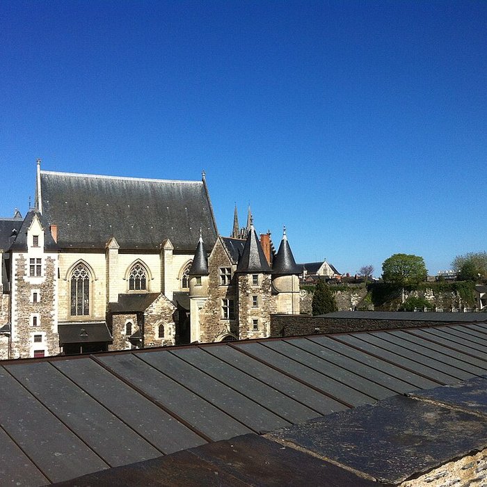 Photo de Château dAngers