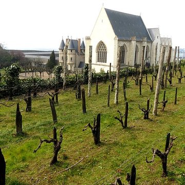 Château dAngers