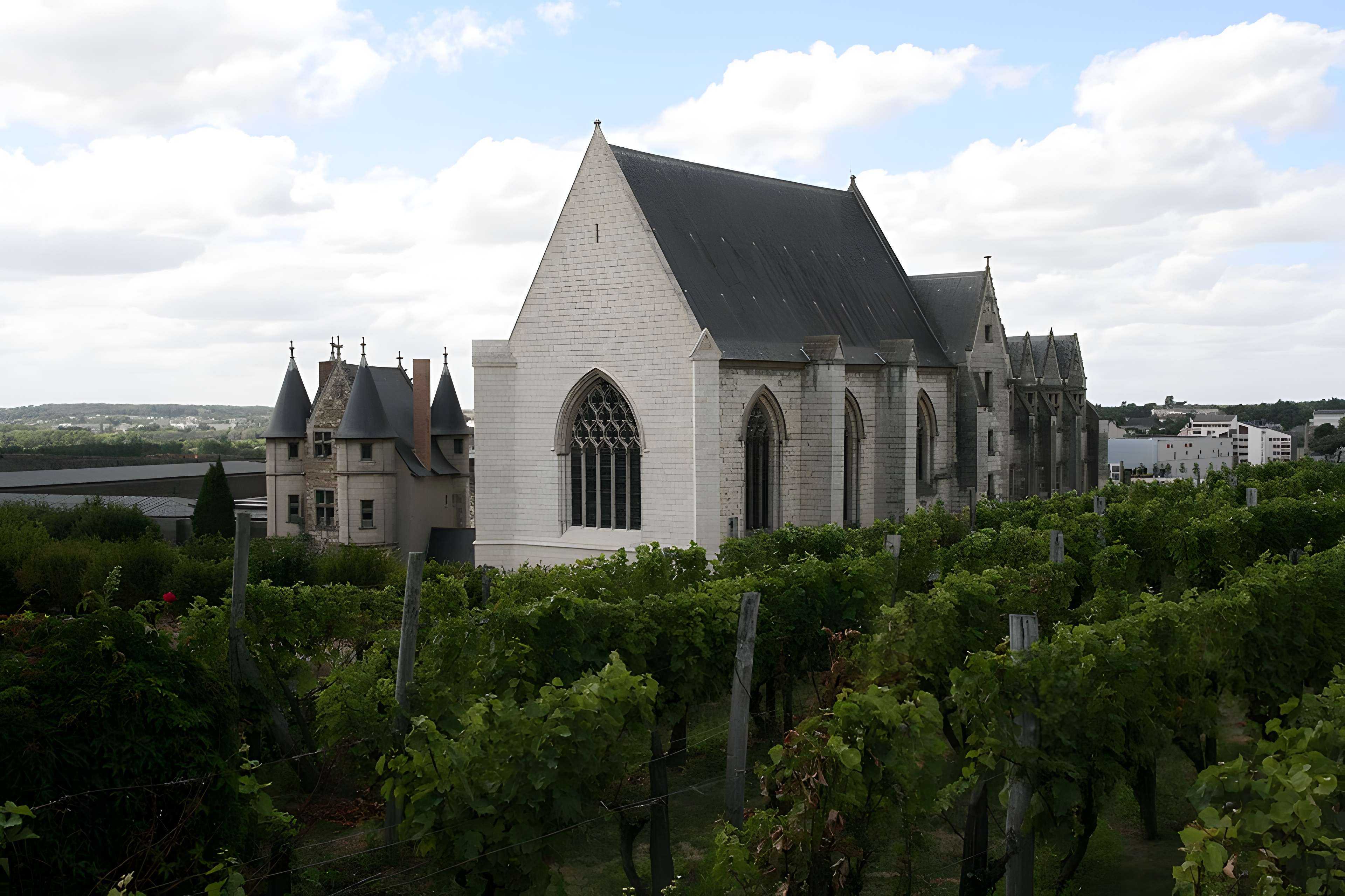 Château d'Angers