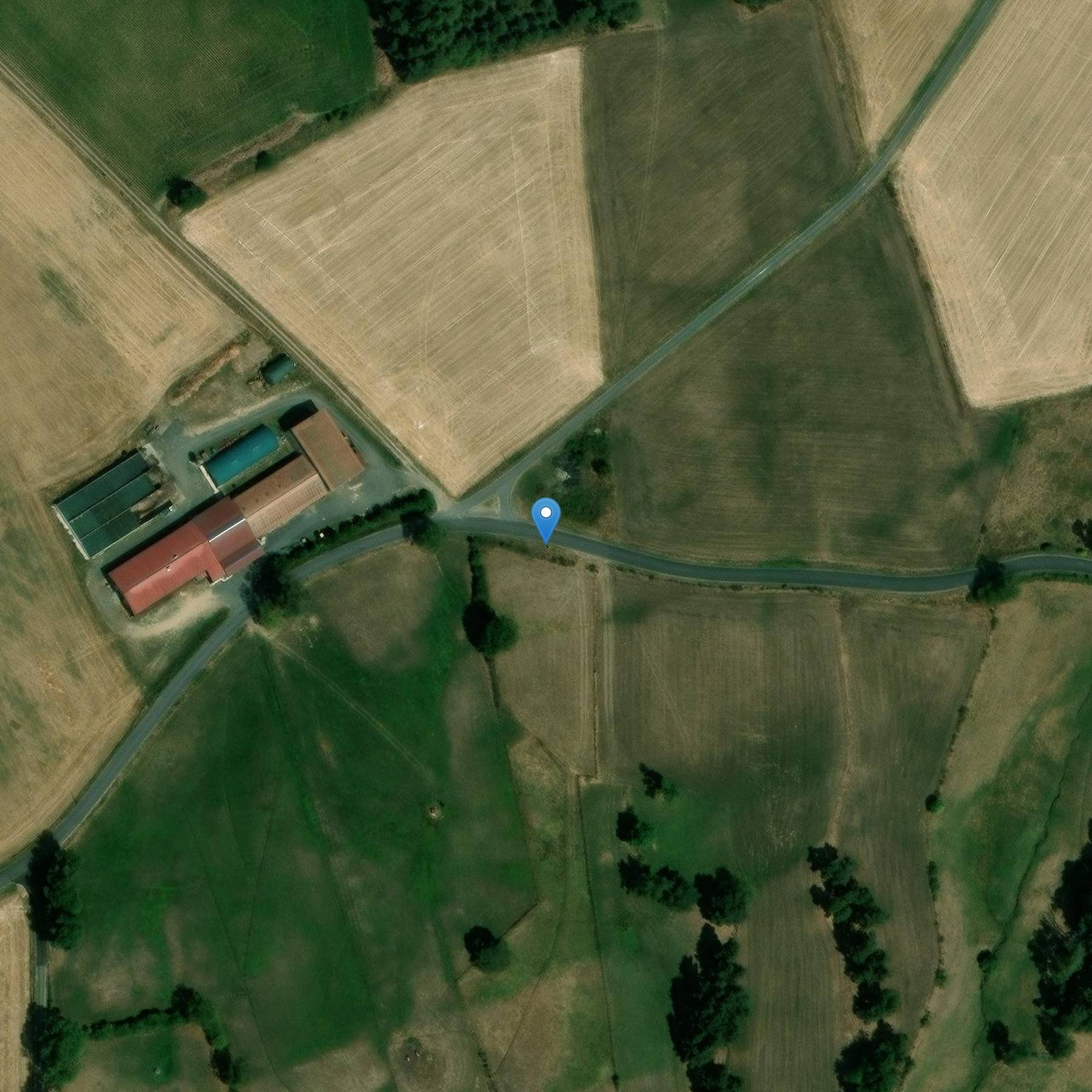 Photo de Menhir de la Pierre Planté