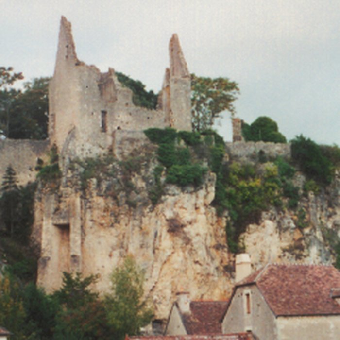Photo de Château dAngles-sur-lAnglin
