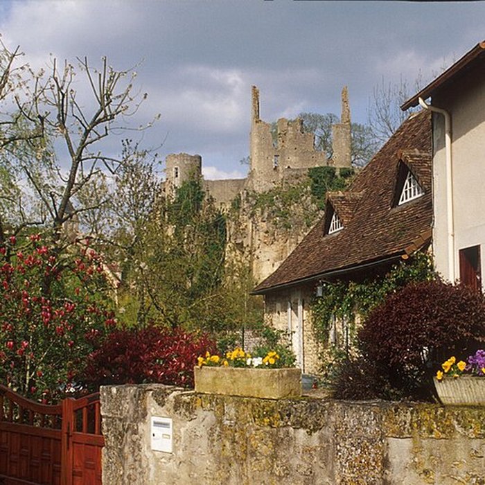 Photo de Château dAngles-sur-lAnglin
