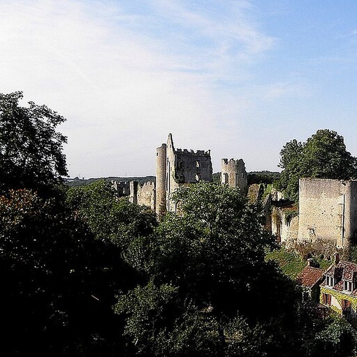 Photo de Château dAngles-sur-lAnglin
